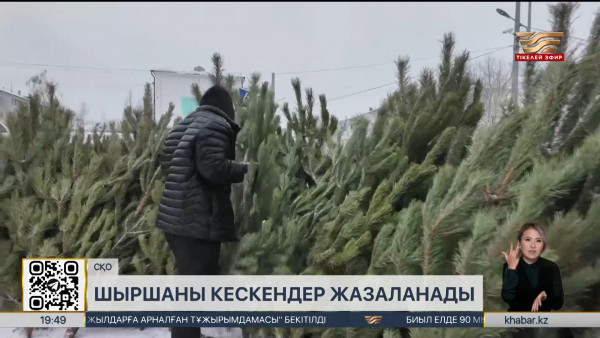 СҚО-да шыршаны кескендер жазаланады