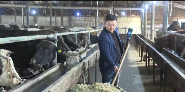 Қызылорда облысында қуаңшылық қайталана ма?