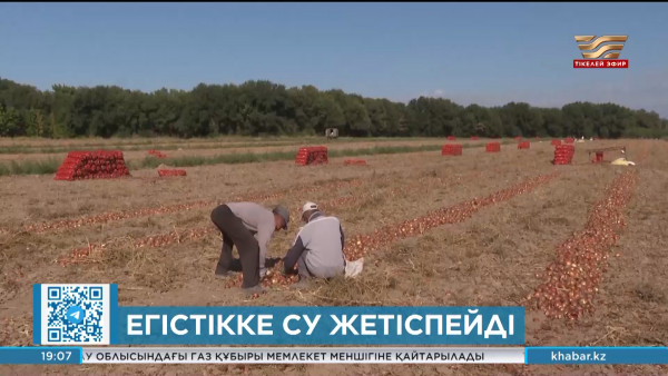 Алматы облысында егістікке су жеткізетін арықтар мен арналар тозған