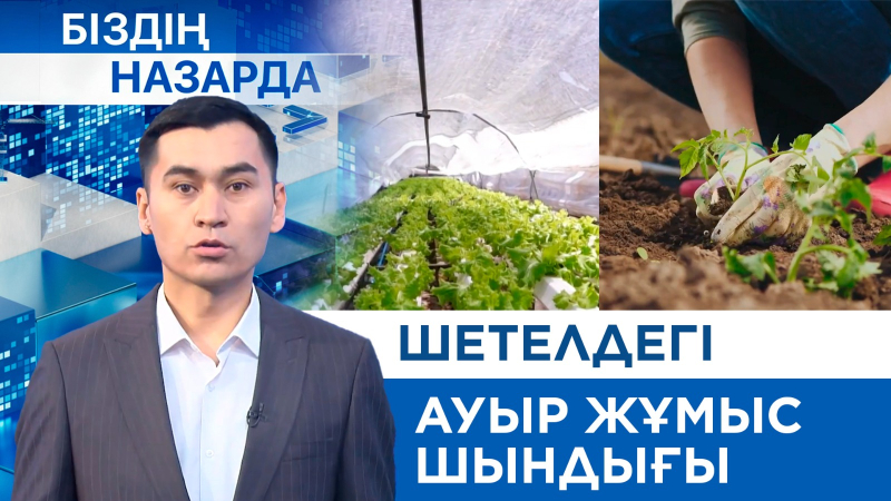 Шетелдегі ауыр жұмыс шындығы | Біздің назарда