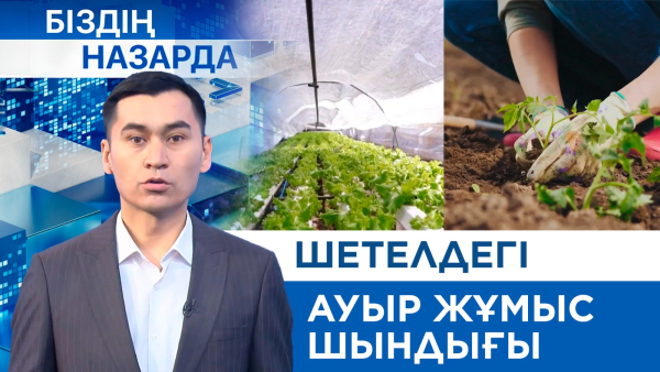 Шетелдегі ауыр жұмыс шындығы | Біздің назарда