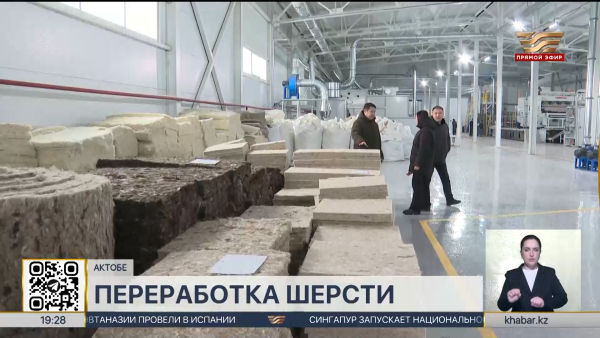 Завод по переработке овечьей шерсти открыли в Актобе