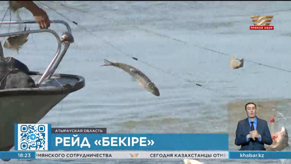 Рейд &laquo;Бекіре&raquo; проводится в Атырауская области