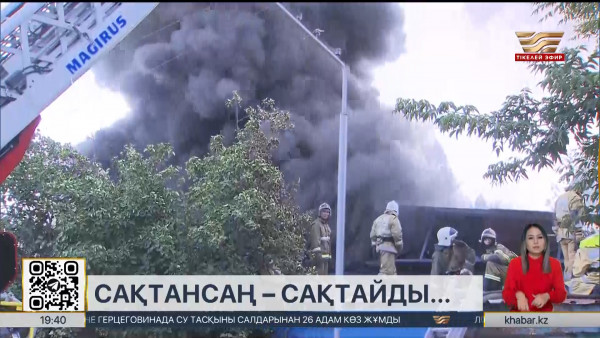 Тілсіз жаудың жиілеуіне не себеп?