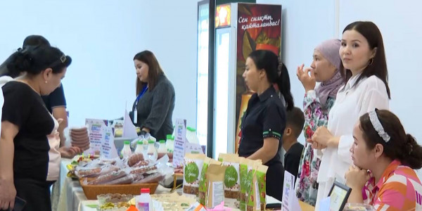 Проект &laquo;Одно село &ndash; один продукт&raquo; стартовал в Кызылординской области