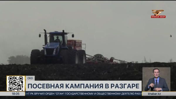 Посевная кампания: в СКО засеяно 48% площадей