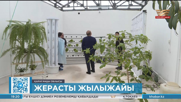 Қарағандыда жерасты термос жылыжайы іске қосылды