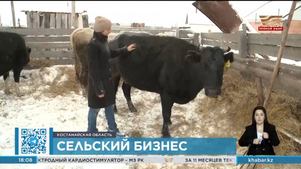 Доходы сельского населения повышают в Костанайской области
