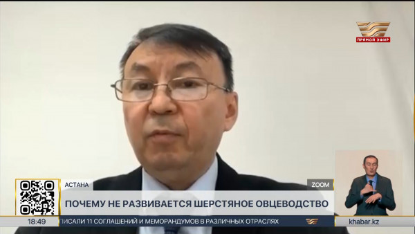 Почему не развивается шерстяное овцеводство в РК?