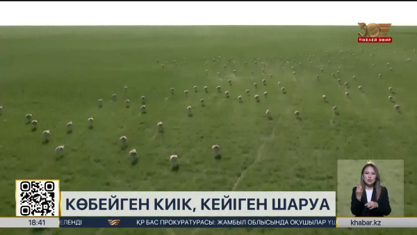 Киіктер егістікке зиян келтіріп жатыр: Парламентте мәселе көтерілді