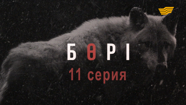 &laquo;Бөрі&raquo; 11 серия