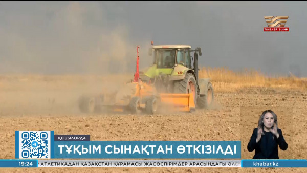 Қызылордада күріштің жаңа 25 сұрпы сынақтан өтіп жатыр