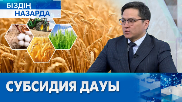 Субсидия дауы: ұсақ шаруашылықтардың мәселесі | Біздің назарда