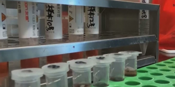 Коронавирус: Қытайда 2 247 адам қайтыс болды