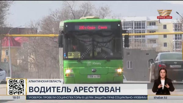 Водителя арестовали после смертельного наезда на ребенка в Алматинской области