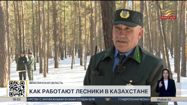 Охрану лесов обеспечивают более 100 учреждений лесного хозяйства в РК