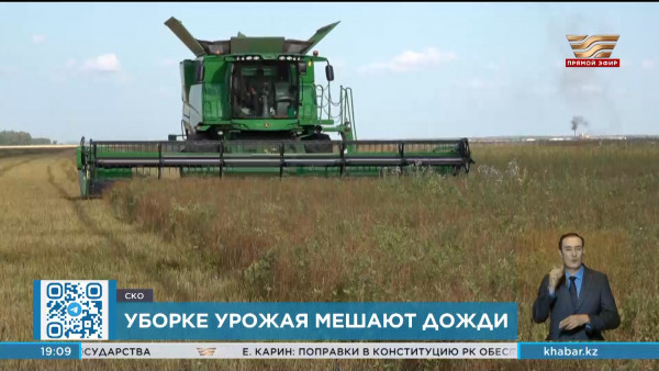 Дожди на севере страны задерживают уборку урожая