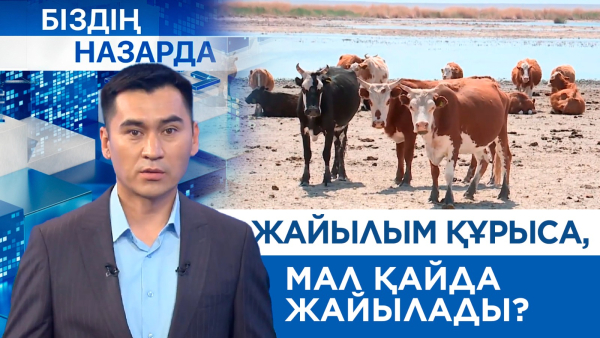 Жер кең, жайылым жетіспейді | Біздің назарда