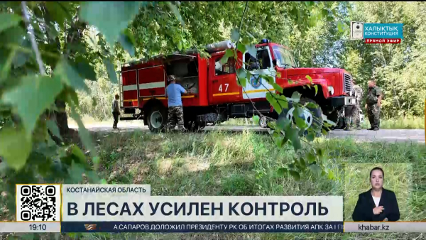 В лесах Костанайской области усилили контроль