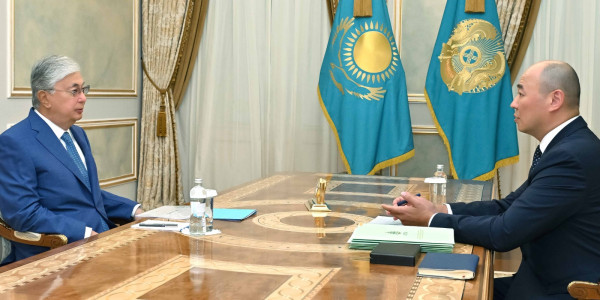 Президент &laquo;Бәйтерек&raquo; ұлттық басқарушы холдингі&raquo; АҚ басқарма төрағасын қабылдады