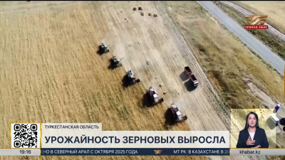 В Туркестанской области собрали 534 тысячи тонн зерна