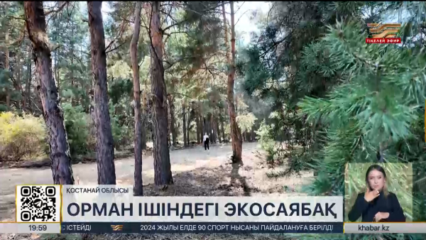 Қостанай облысындағы орман алқабында экосаябақ бой көтереді