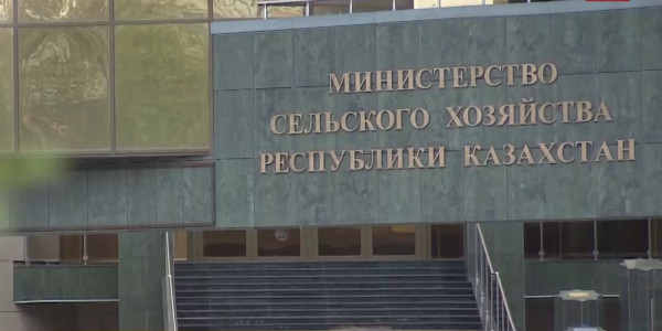 Владельцы погибшей птицы в СКО получат компенсацию