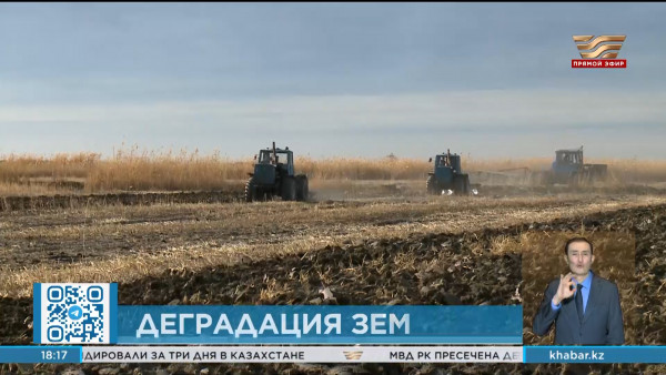 Как в Кызылординской области будут решать проблему деградации земель?