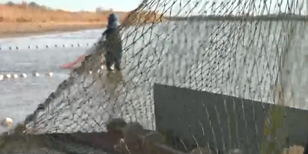 Балықшылар жылдық квотаны орындай алмай отыр