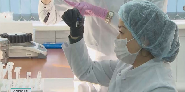 Екпе ең алдымен мұғалімдерге, тәртіп сақшылары мен дәрігерлерге салынады