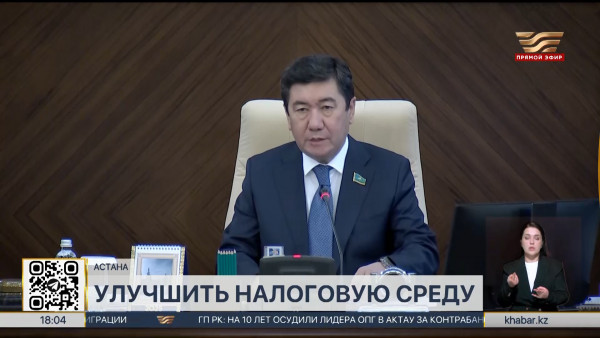 Ерлан Кошанов прокомментировал предложение Правительства повысить НДС