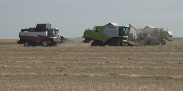 Ауыл шаруашылығына қолдау қажет