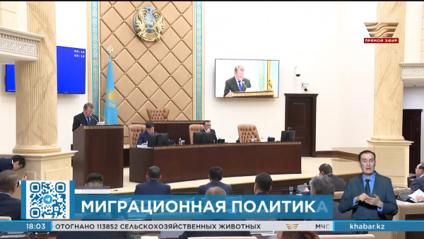 В Мажилис вернули законопроект, запрещающий въезд педофилам и террористам в страну