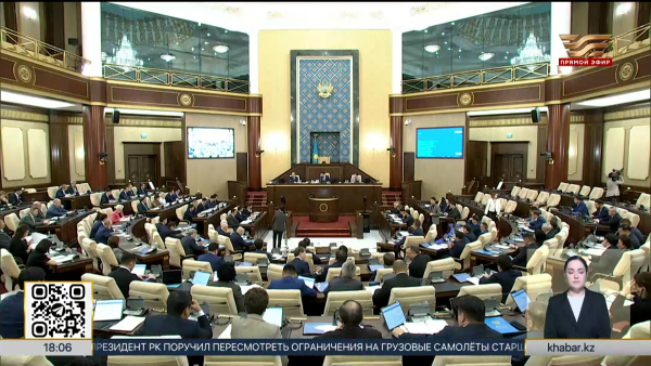 Мажилис принял Цифровой кодекс