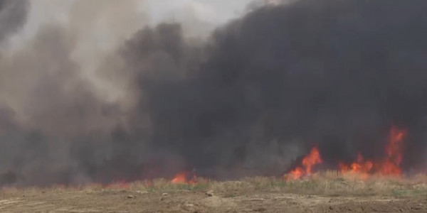 В Наурзумском заповедникe зафиксировано 3 очага возгорания