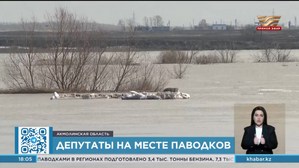 Депутаты находятся в пострадавших от паводков регионах страны