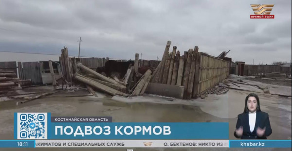 Подвоз кормов обеспечивают в Костанайской области