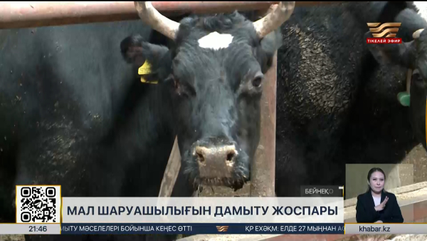 Мал шаруашылығын дамытудың 2026-2030 жылдарға арналған кешенді жоспары мақұлданды