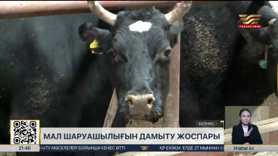 Мал шаруашылығын дамытудың 2026-2030 жылдарға арналған кешенді жоспары мақұлданды