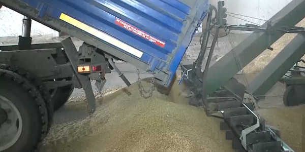 В Костанайской области через месяц начнётся посевная кампания