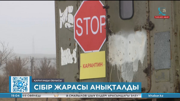 Қарағанды облысында сібір жарасы анықталды