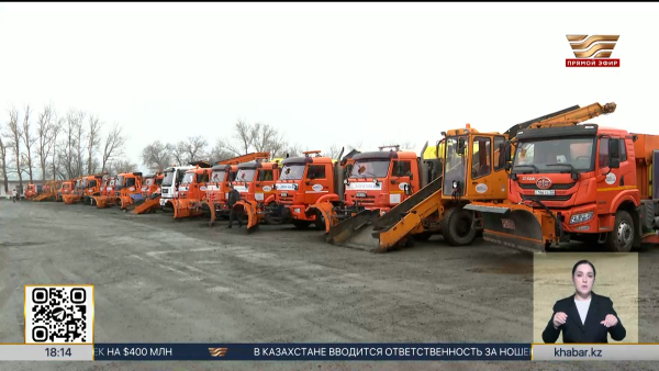 В Астане выпал долгожданный снег
