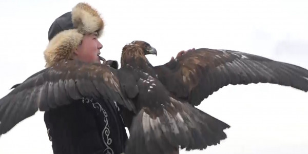 Казахстанские беркутчи обсудили перспективы развития своего мастерства