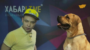 &laquo;ХабарLine&raquo; 7-шығарылым