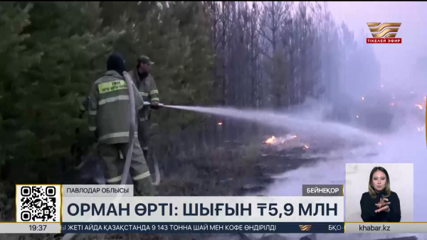 Павлодар облысында орман өртінен келген шығын ₸5,9 млн жетті