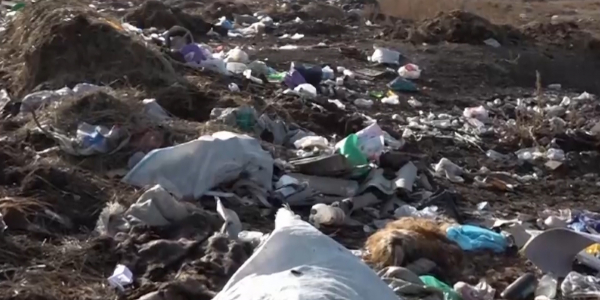 Спутник зафиксировал 667 крупных стихийных свалок вокруг городов и сел Прииртышья