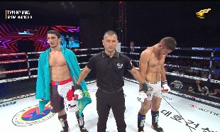 Международный турнир по смешанным боевым единоборствам ММА. Битва Номадов-9