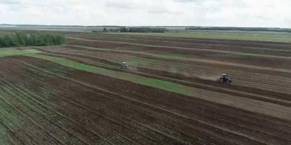 Президент подписал закон по вопросам земельных отношений