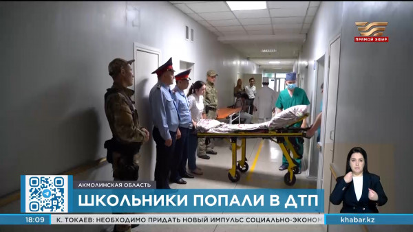 Досудебное производство начато в связи с крупным ДТП