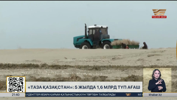 «Таза Қазақстан»: 5 жылда 1,6 млрд түп ағаш егілді